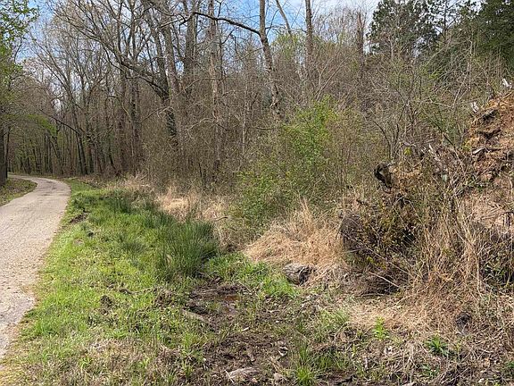 4th image of County Road 3309 Pope Rd #1