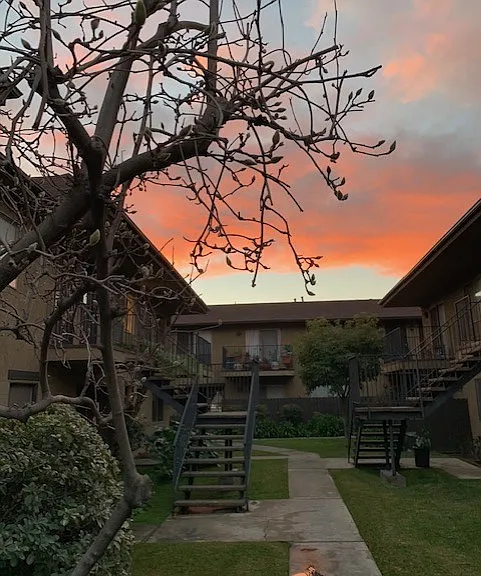 Nicholson Gardens — Photo 14
