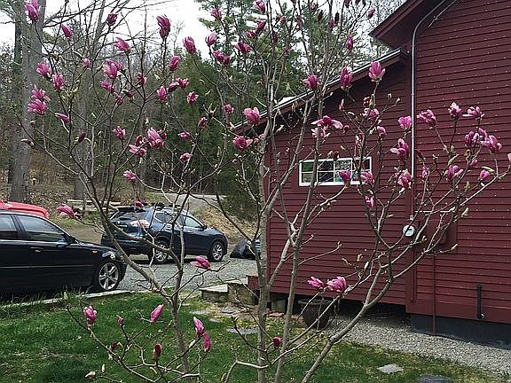 Another right side view 