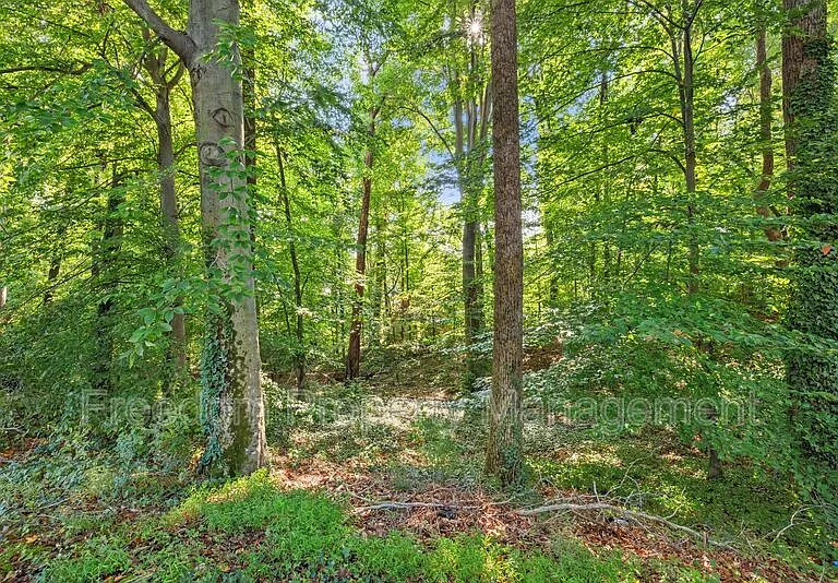 14309 Fairmont Ct — Photo 44