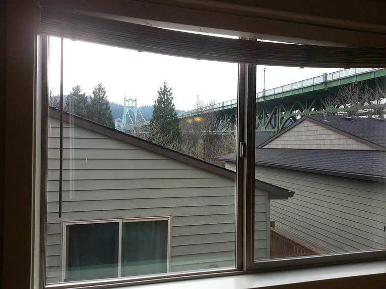 The view from the living room window.