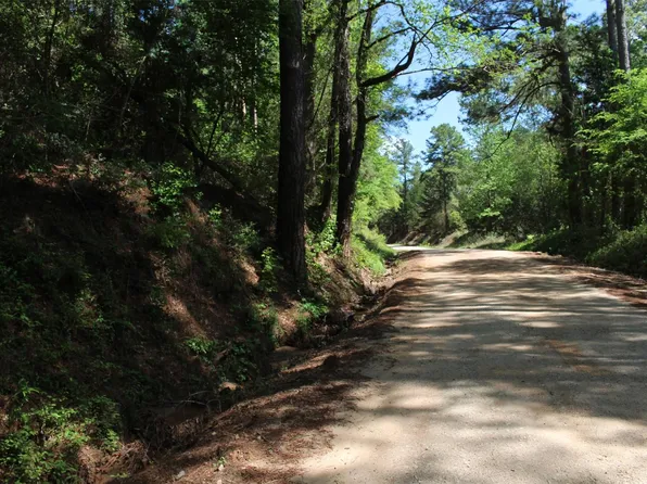 0 County Road 1190, Grapeland, TX 75844