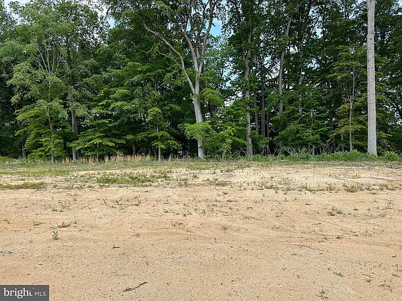 2nd image of 79 Horse Trail Ln