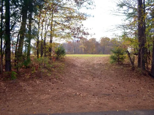 0 Mays Bridge Rd, Springville, TN 38256