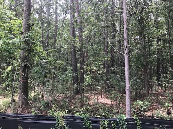 Tbd Lost Oaks Dr, Bluffton, SC 29910
