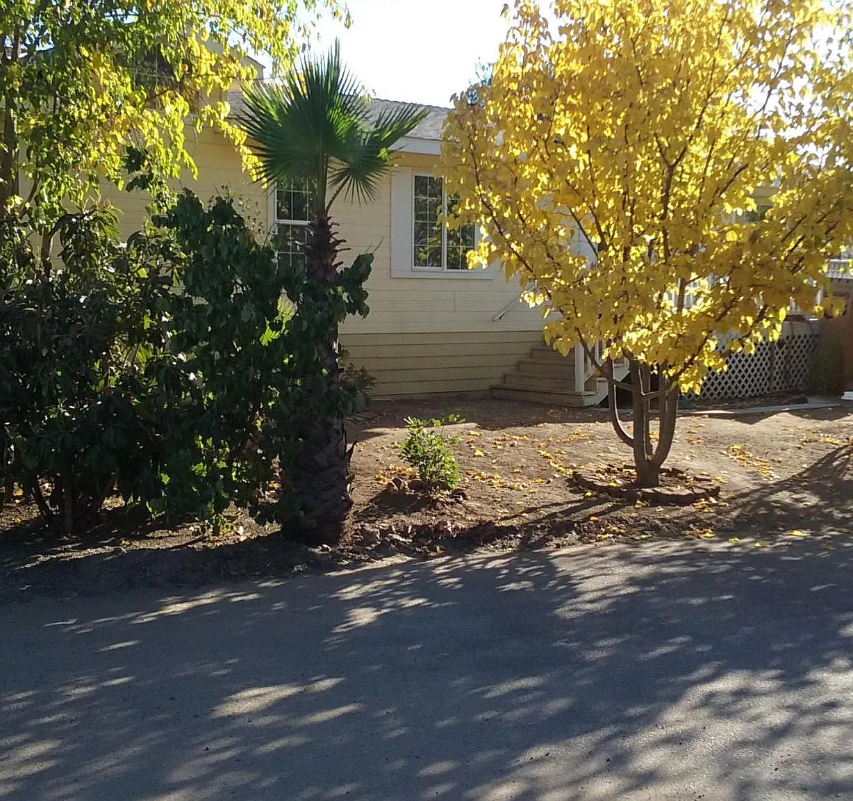 3 bed, 1700 sqft, $3,800 — Photo 1