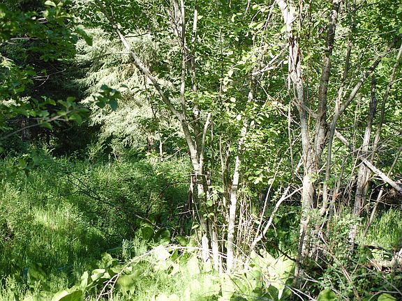 3rd image of Nhn Mission Creek Ln