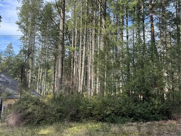 12021 Sunset Place, Anderson Island, WA 98303