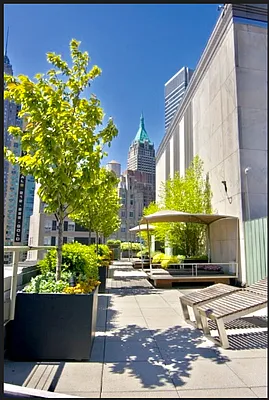 Rented by NY Living Solutions | media 45