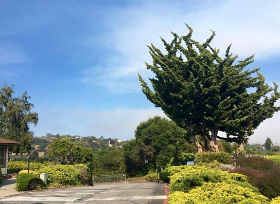 5th image of 4300 Soquel Dr Spc 80