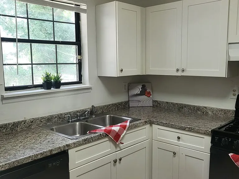 4376 Raven Valley Ct — Photo 3