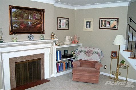 Neutral Decor