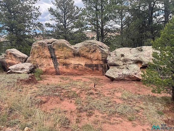5th image of 395 Coyote Rd