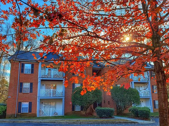 5th image of 4701 Arching Oak Ln #4725