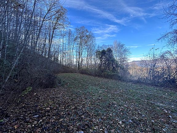 2nd image of LOT 10 Sawyer Cove Hideaway