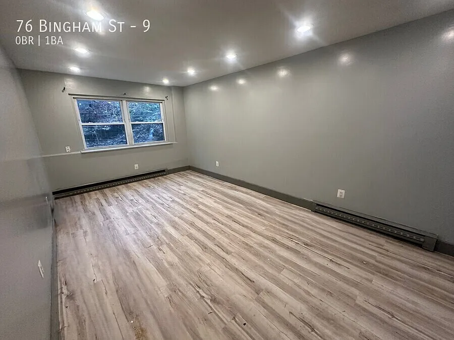 76 Bingham St - #3 — Photo 3