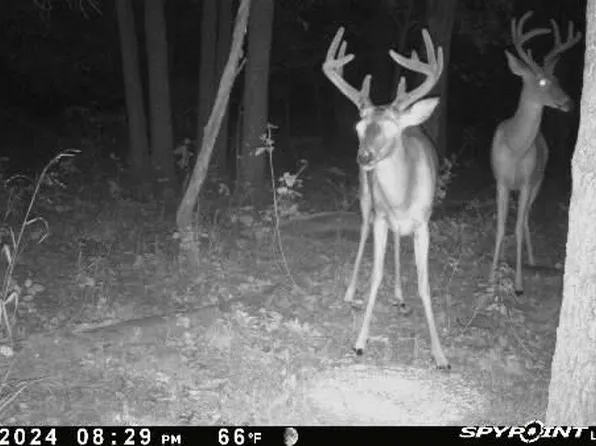 160 Highway N, Stover, MO 65078