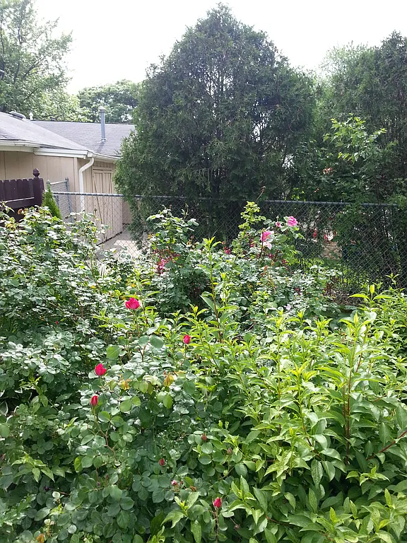 Property photo 5