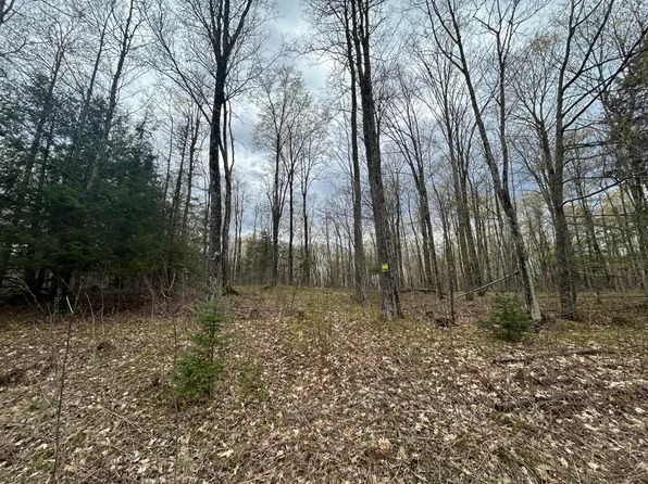 5 Cth Z #G, Pelican Lake, WI 54463