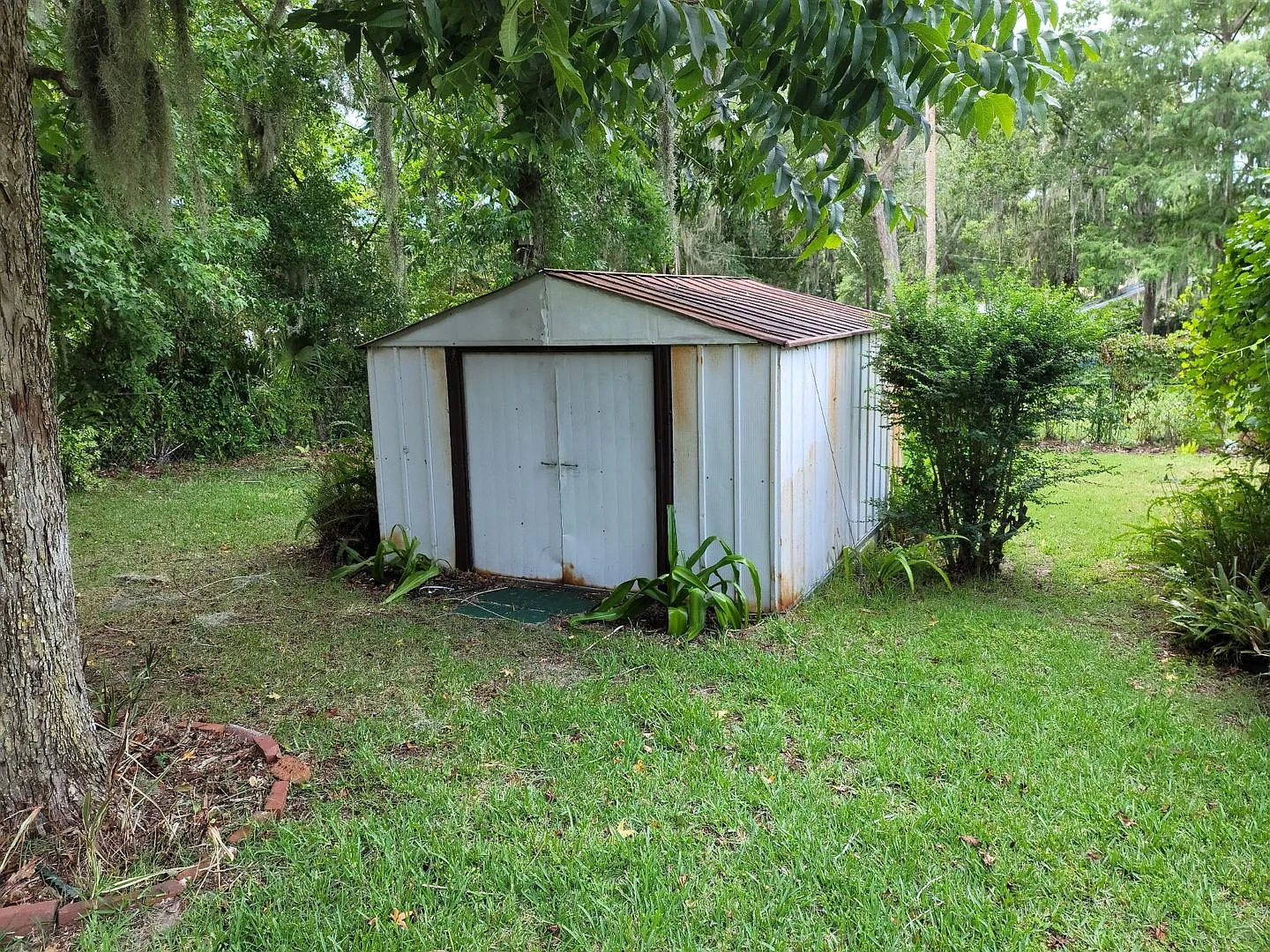 Beautiful 3 Bedroom, 1 Bathroom in Belleview near Lake Lillian ... — Photo 3