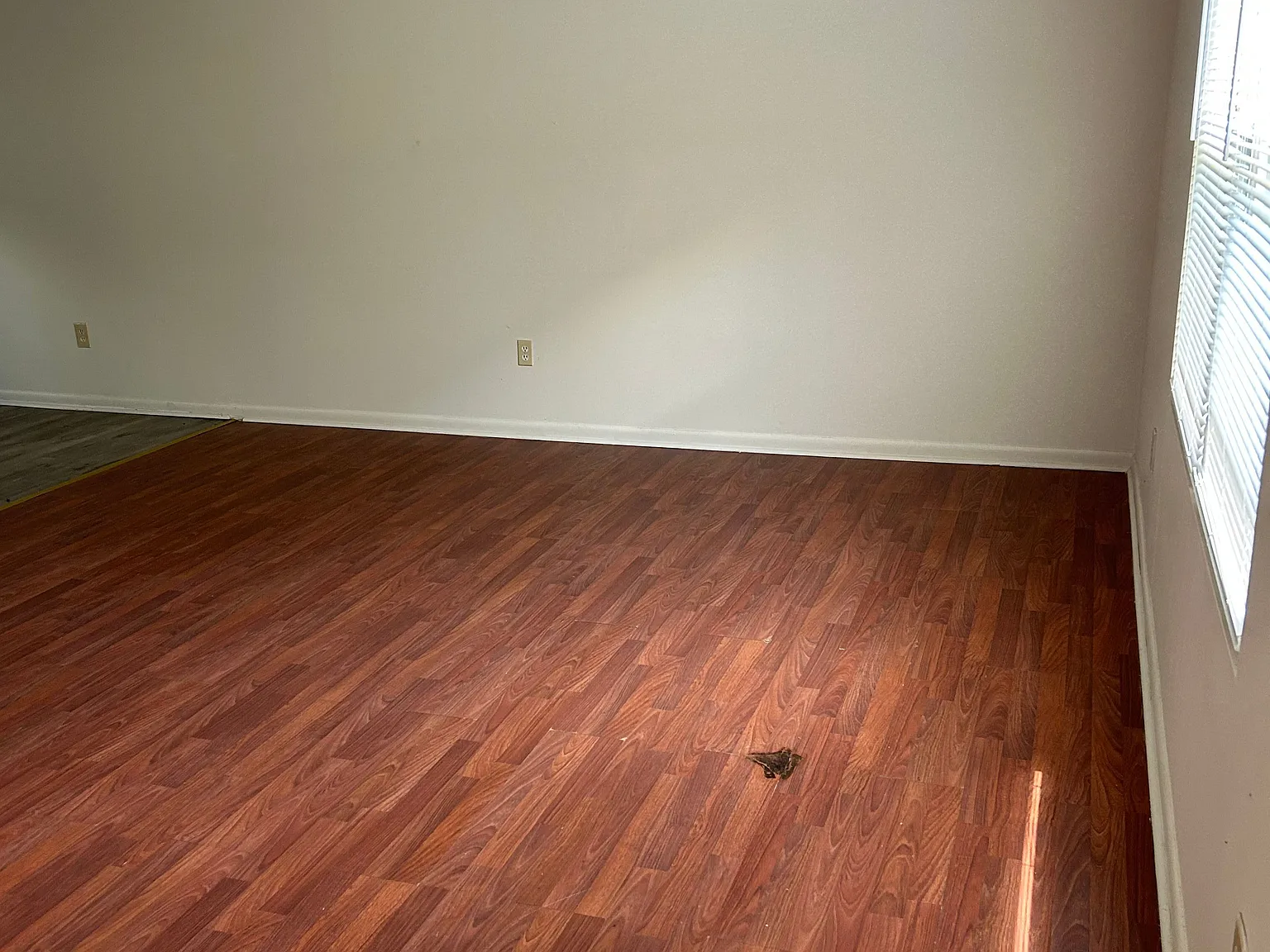 2 bed, 1.0 bath, 960 sqft, $950 — Photo 2