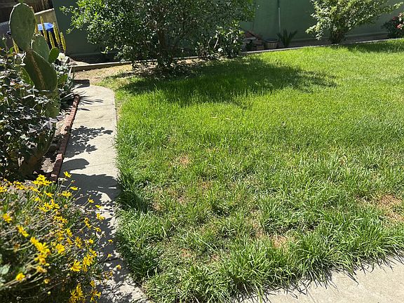 Backyard common area