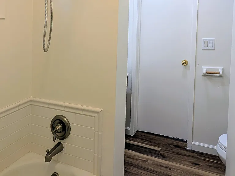 Tub with shower