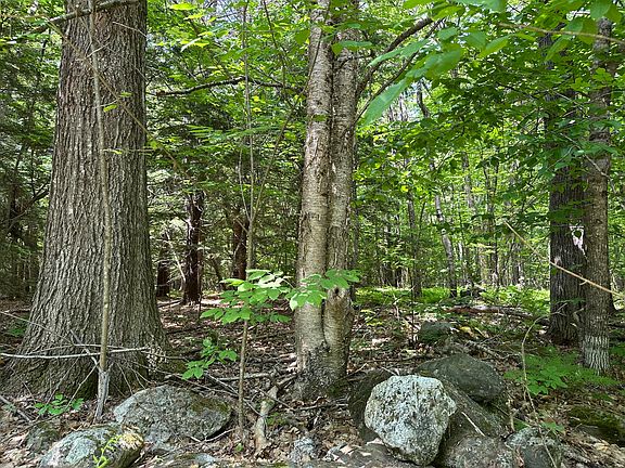 2nd image of 0 Dingley Road