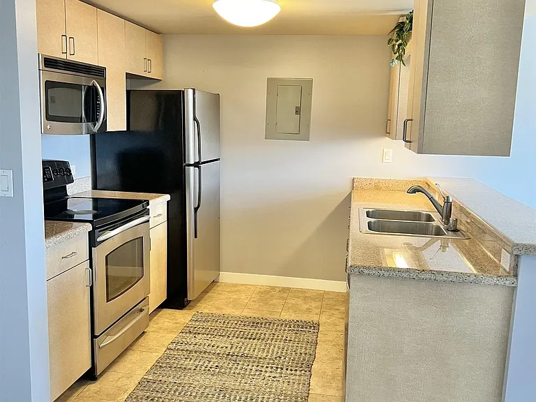 425 W Beech St #1157 — Photo 8
