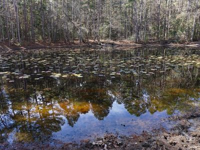 0 An County Rd #352, Palestine, TX, 75803