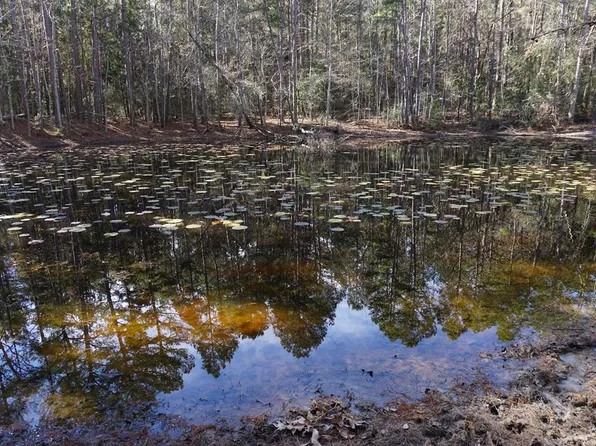 0 An County Rd #352, Palestine, TX 75803