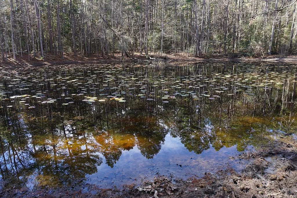 0 An County Rd #352 photo 1