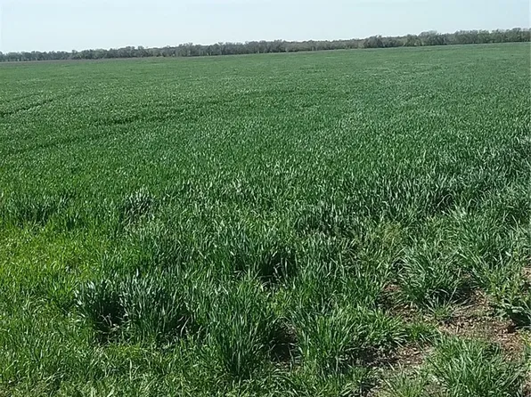 Tbd Dale Acres Rd, Milford, TX 76670