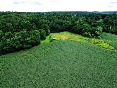XXX County Road O, Dallas, WI, 54733