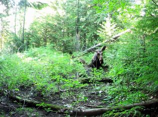 1844 N Whittum Rd, Priest River, ID 83856