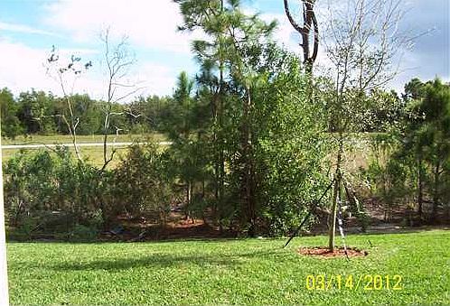 1st image of 6101 Butterfly Orchid Place