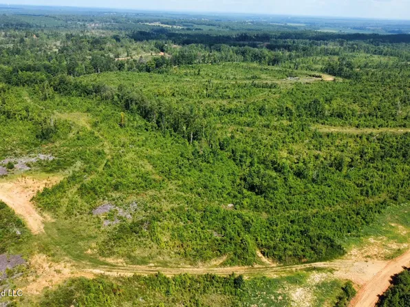4 Will Womack Rd, Mantee, MS 39751