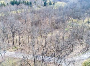 Briarwood Ln, Columbia station, OH 44028