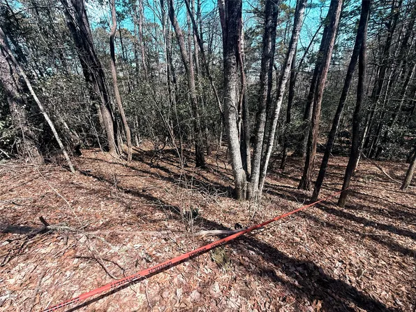 TBD Minerva, Sapphire, NC 28774