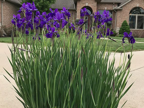 Spring is FINALLY here!