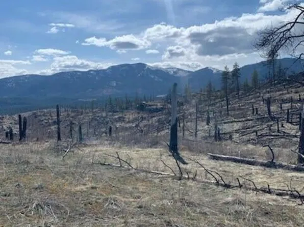 Browns Way, Colville, WA 99114