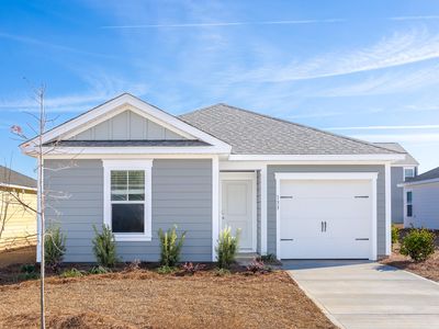 133 Congaree Ct, Santee, SC, 29142