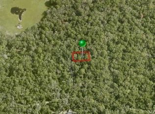 3979 S Curlew Ter, Inverness, FL 34450
