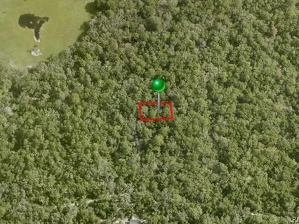 3979 S Curlew Ter, Inverness, FL 34450