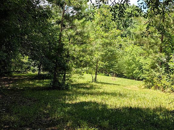 5th image of 104 Bishop Lake Ln Lot 5