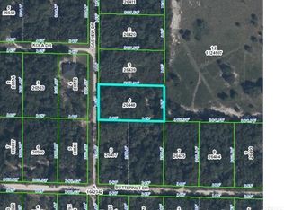 Cashew Dr, Webster, FL 33597