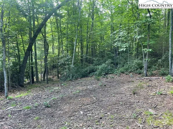 TBD Hickory Ridge Rd and Rendezvous Lane, Fleetwood, NC 28626