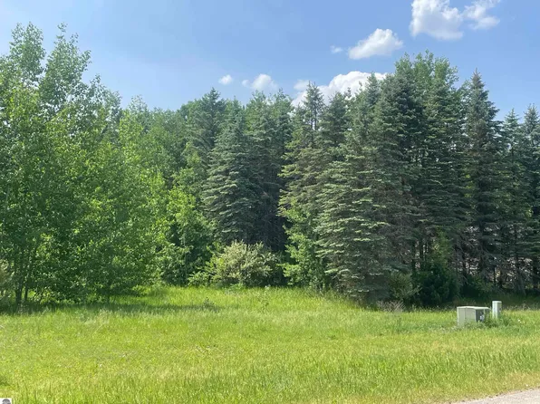 LOT 2 Ringneck Ln, Buckley, MI 49620