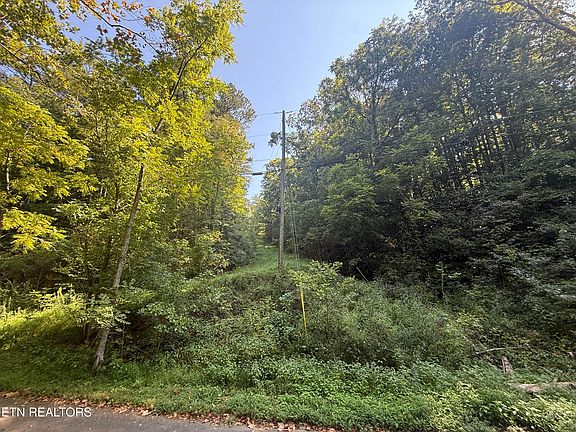 4th image of Community Park Rd