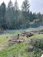 5th image of 178 Bloomer Hill Rd